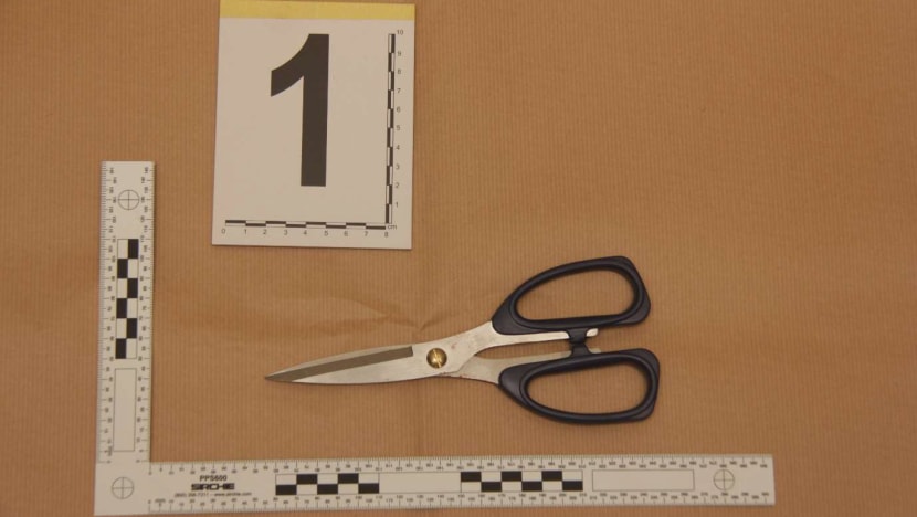 Man arrested after allegedly punching victim, hitting another with pair of scissors