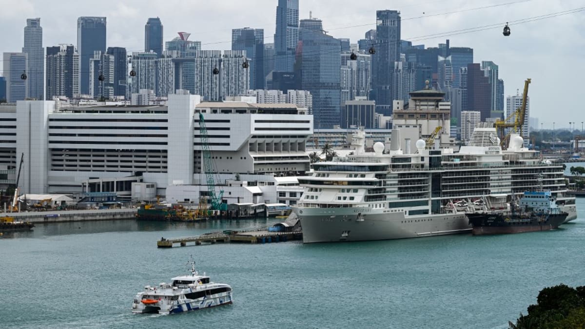 Singapore tour operators see up to 30% boost from cruise tie-ups