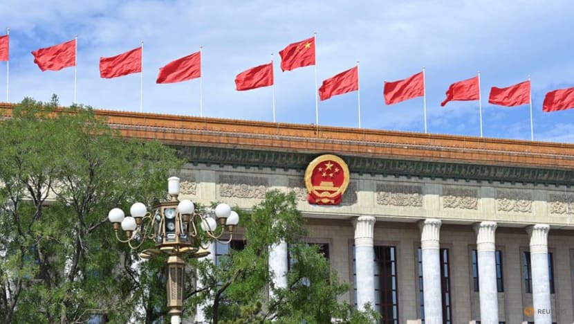 Xi Jinping's anti-corruption campaign nets record number of 'tigers' in 2024 Xi Jinping's anti-corruption campaign nets record number of 'tigers' in 2024