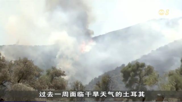 欧洲多地引发林火 民众紧急疏散