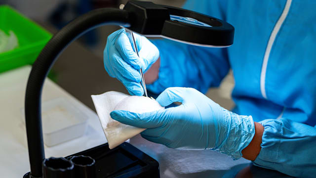 当局推出首个全国标准 鉴定食用燕窝品质和真伪