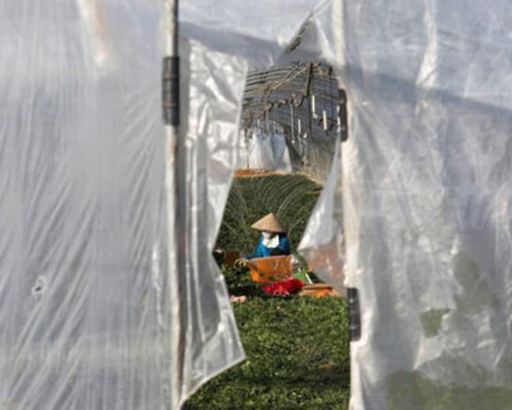 Migrant workers face dire conditions at South Korean farms 