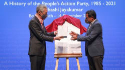 Related article image