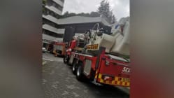 Related article image