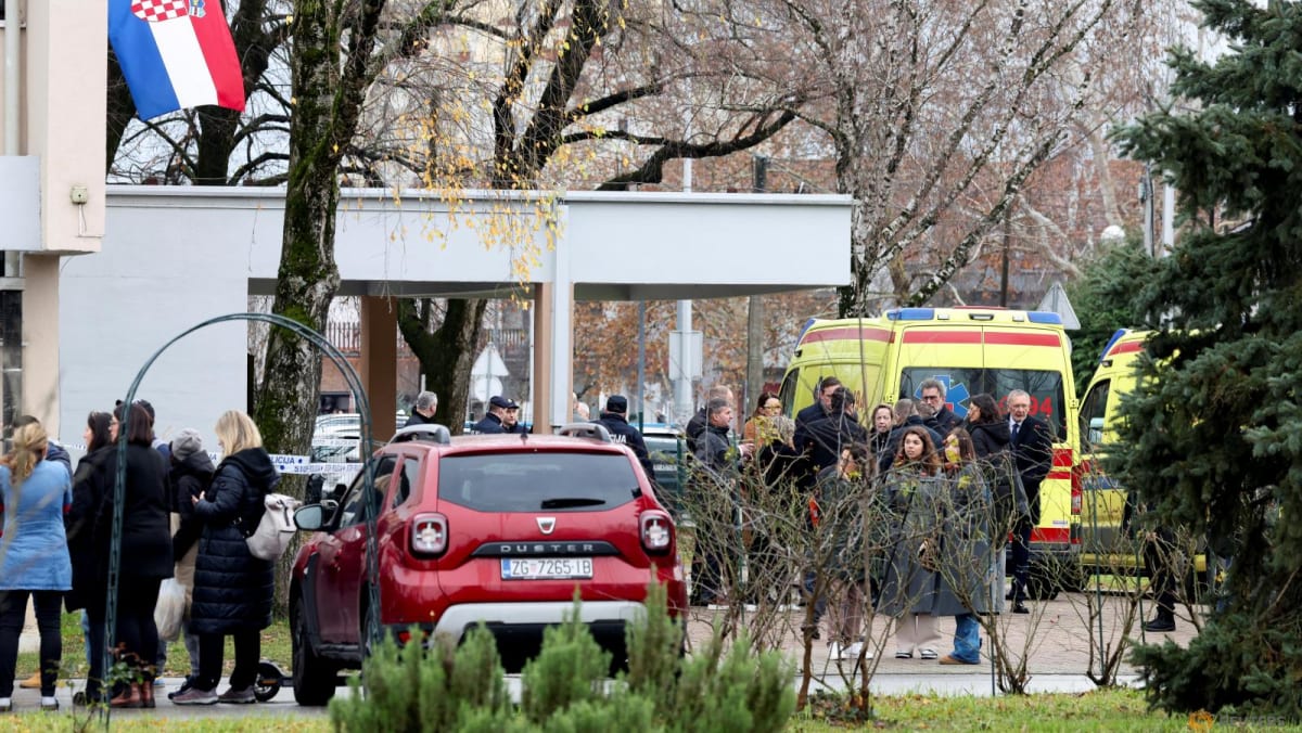 Pupil killed in knife attack at Croatia school