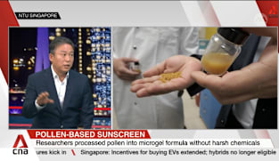 Pollen-based sunscreen: New invention cools skin, blocks UV rays without harming marine life 