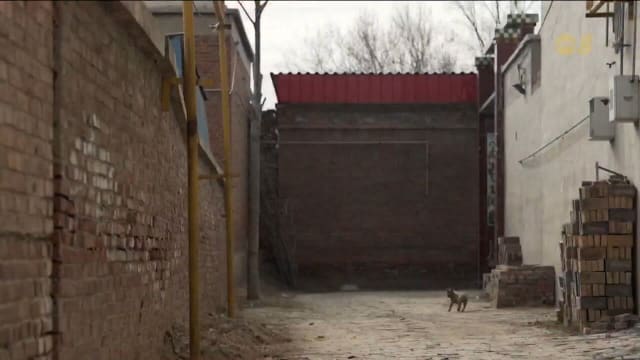 农村居民没钱取暖 中国“煤改气”政策引关注 