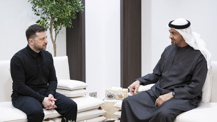 Ukraine, UAE agree to cooperate on defence, Zelenskyy says