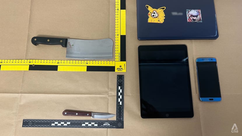 5 people helped police arrest chopper-wielding man on Commonwealth Avenue; no sign it was an act of terror