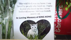 Related article image