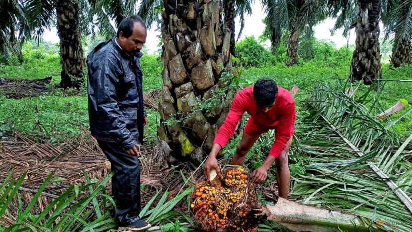 Exclusive-Indian refiners cancel palm oil contracts on duty hike, price rise Exclusive-Indian refiners cancel palm oil contracts on duty hike, price rise
