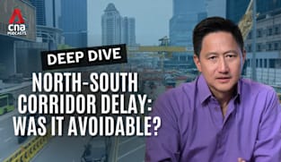Deep Dive - North-South Corridor delay: Was it avoidable – and can businesses survive the impact?