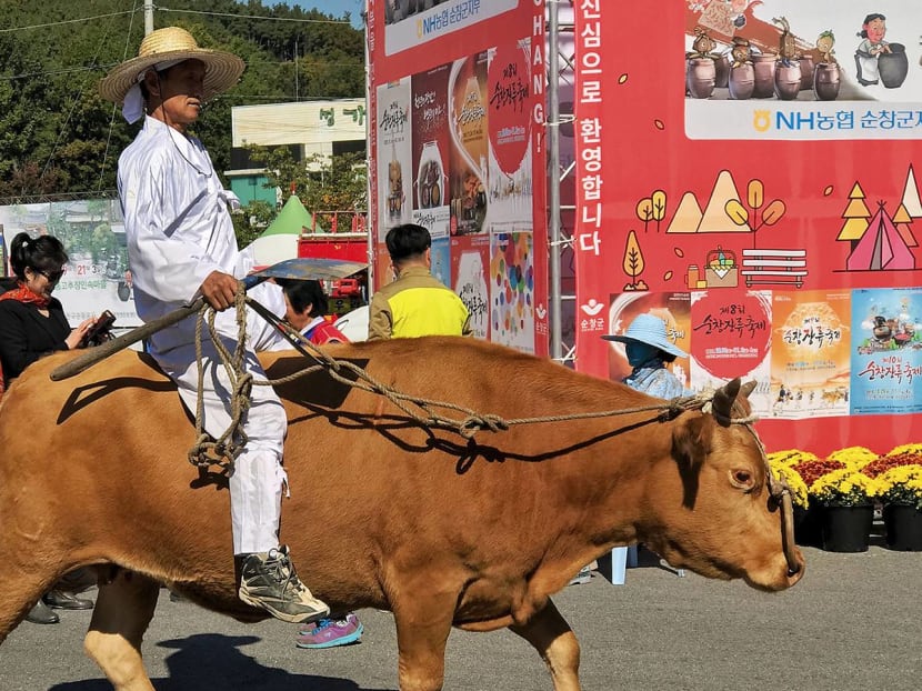 We Visited Korea's Farming Region And It's More Happening Than We Imagined