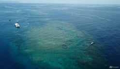 Great Barrier Reef at risk of 'collapse', scientists warn