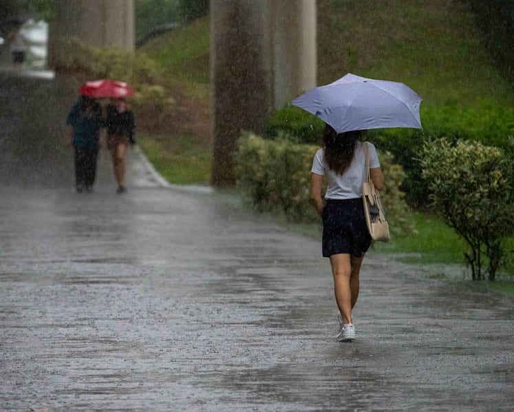 Warm and wet weather to continue in first half of May, thundery showers expected on most days