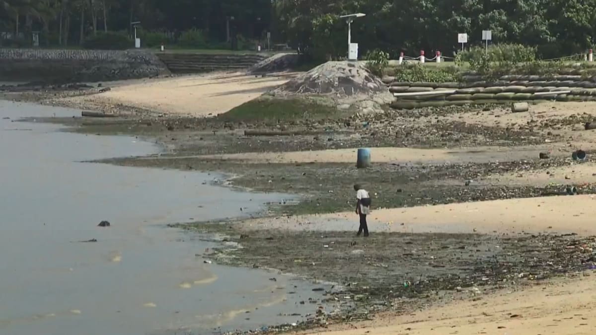 Terry Pasir Ris Pasir Ris beach recreational centres take extra precautions over higher ...