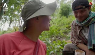 What's Coming Up - Growing Wild: Project Castaway