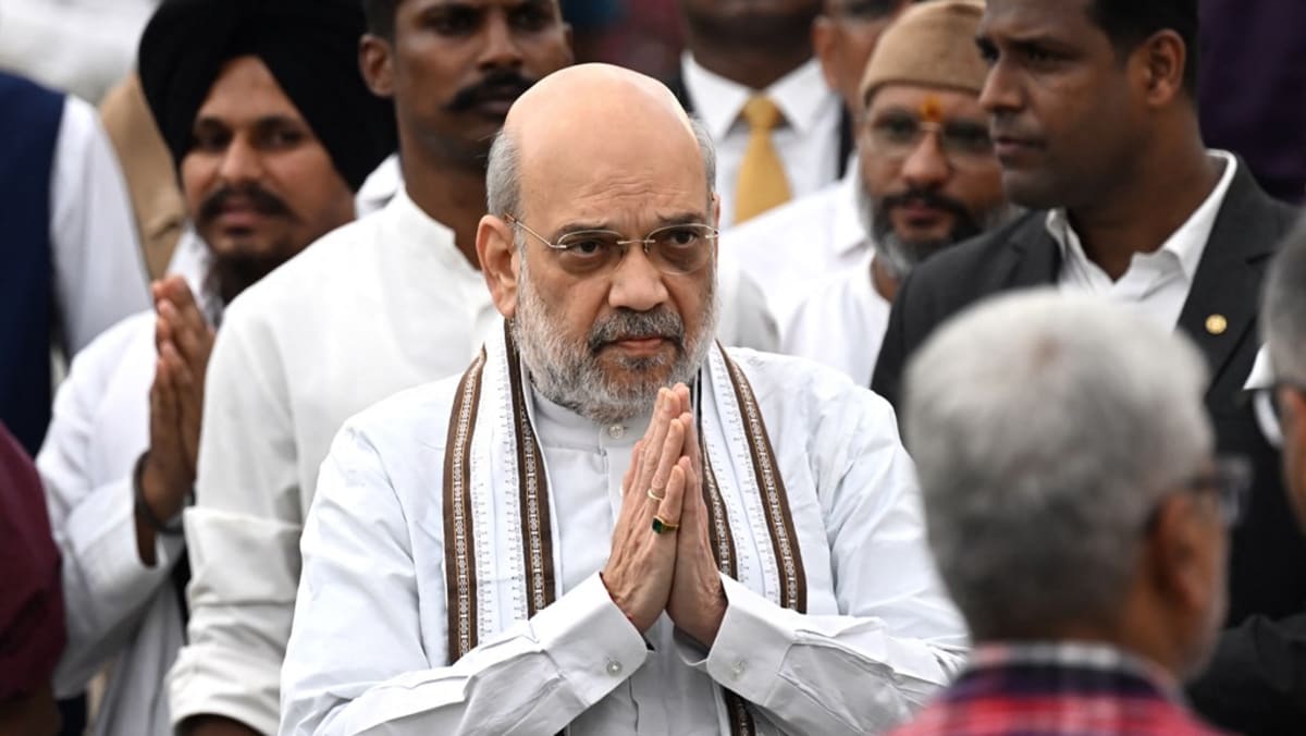 India minister pledges to evict 'illegal' immigrants from capital