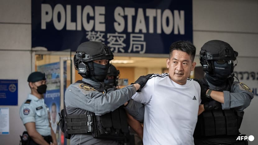 Alleged Chinese scam kingpin extradited from Thailand to China: Police