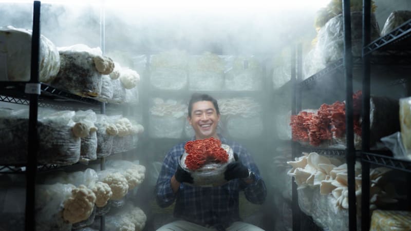 The Mushroom Whisperer