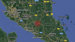 Related article image