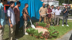 Related article image