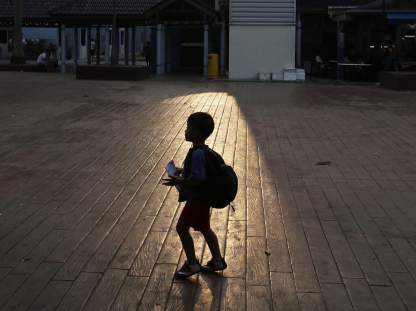 The Big Read: Consumers, NGOs take up fight against haze but it is a long trudge