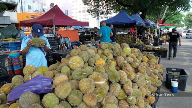 马国榴梿盛产旺季进入尾声 价格止跌回升