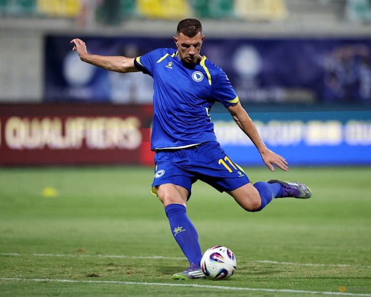 Veteran Dzeko the talisman for Bosnia's new generation