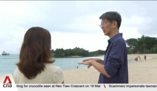 Topping up sand, planting artificial reefs and installing barrages could protect Sentosa's coastline