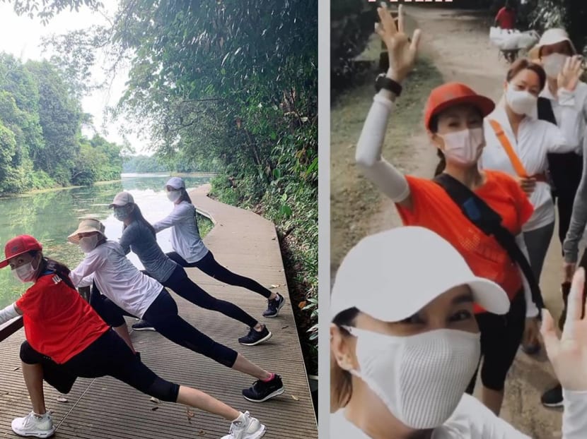 Who knew MacRitchie Reservoir is a place to meet stars? Who knew MacRitchie Reservoir is a place to meet stars?