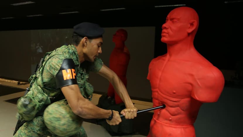 SAF trainers learn from police on how they handle public security