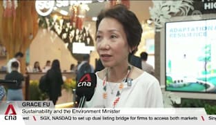 Singapore raises concern about slow progress on climate adaptation guidance