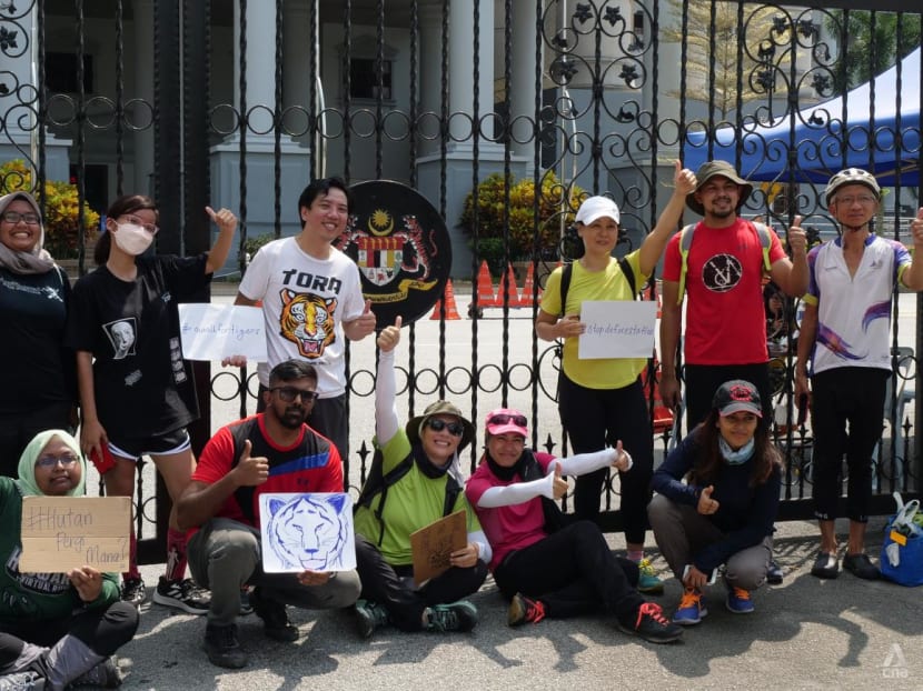 Environmental activists travel 235km on foot to highlight dwindling Malayan tiger numbers