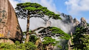 Huangshan Launches “Movie of Your Life” Themed Routes, Offering Korean Travelers a New Cinematic Destination