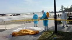 Related article image