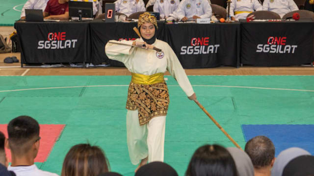 我国马来武术选手努琳 女子个人艺术赛摘铜