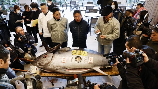 逾2亿日元成交！日本丰洲市场迎金枪鱼新年首拍