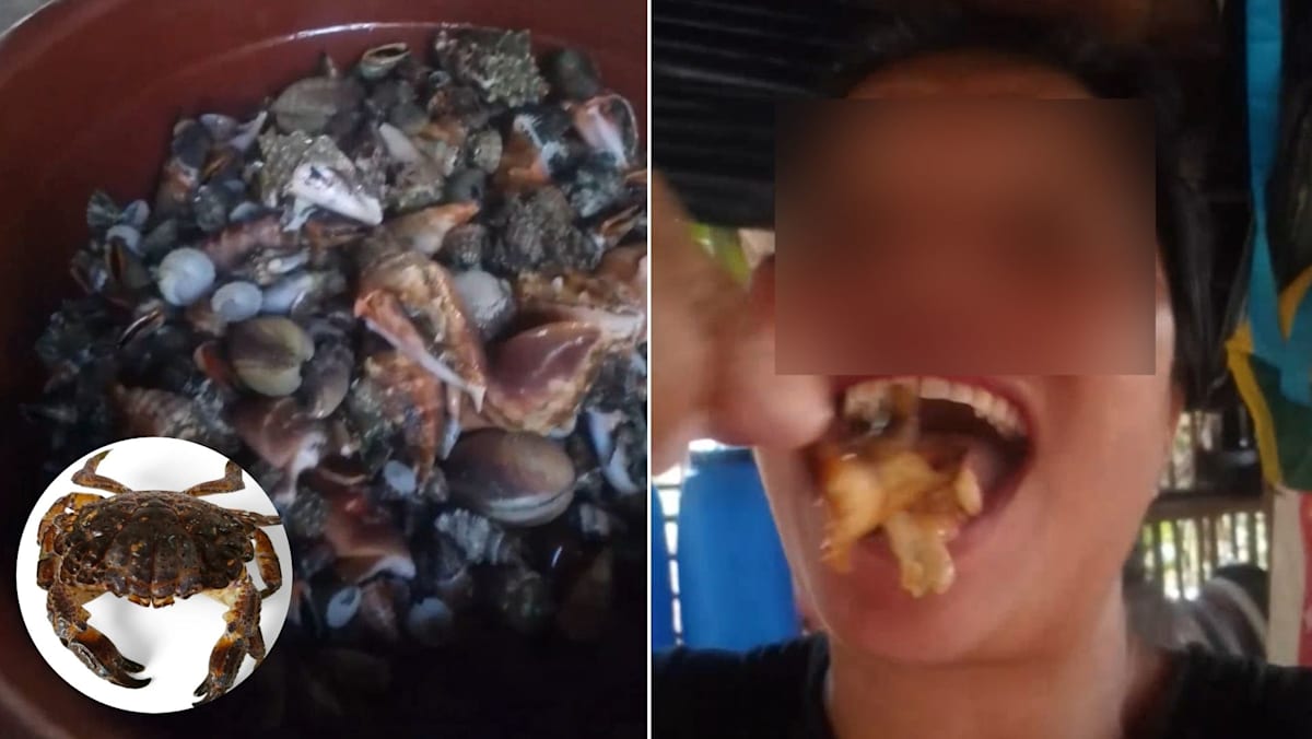 疑为拍视频误食“魔鬼蟹” 菲律宾女网红中毒身亡 - 8world