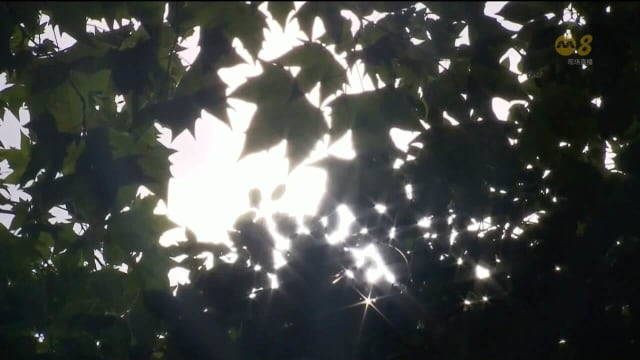 中国天气炎热 冷气机及风扇等家电需求猛增