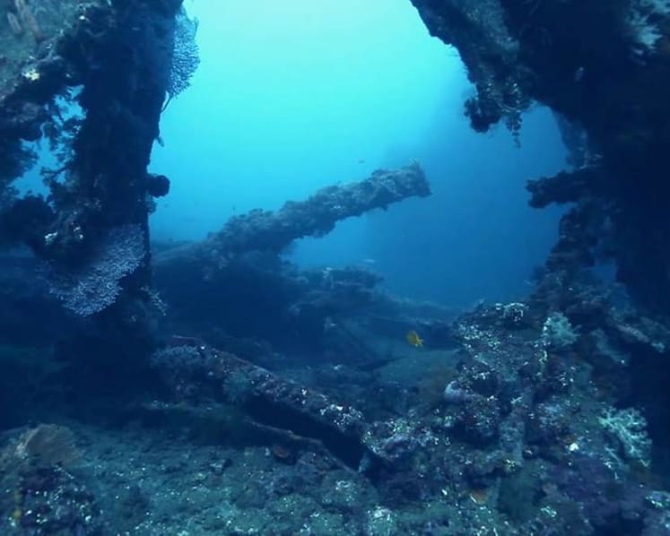 Heartbreak as large-scale salvagers loot Southeast Asia’s WWII shipwrecks, war graves