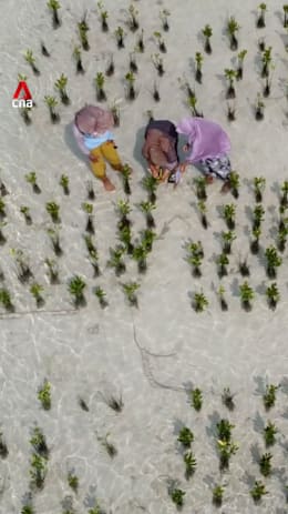 Para perempuan yang berjuang mempertahankan Pulau Pari