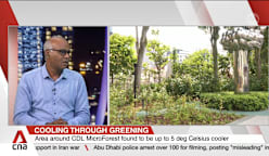 Regenerative microforest at City Square Mall found to have cooled surrounding areas