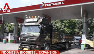 Indonesia biodiesel expansion: Government prepares to roll out mandate for 50% palm-based fuel blend 
