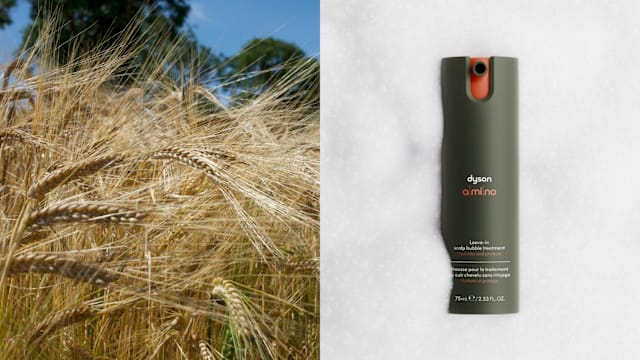 Dyson不只高科技家电！英国最大私营农企，用自家大麦研发头皮护理新科技