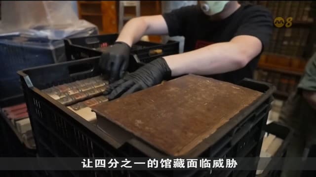 气候变暖加速甲虫繁殖 匈牙利修道院古籍面临毁损危机