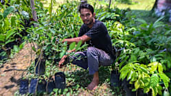 Related article image