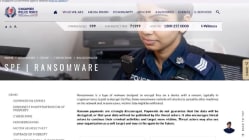 Related article image