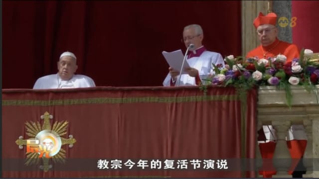 教宗方济各吁战乱各方解除武装 实现和平