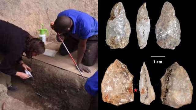 非洲发现距今9500年最古老的成年人火葬柴堆遗迹